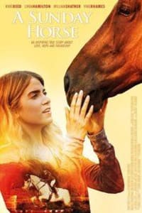 A Sunday Horse