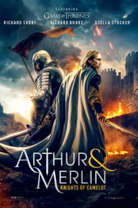 Arthur & Merlin: Knights of Camelot Arthur & Merlin: Knights of Camelot