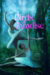 Birds of Paradise Birds of Paradise