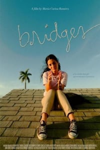 Bridges Bridges