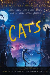 Cats Cats