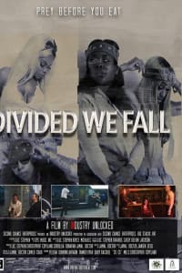 Divided We Fall Divided We Fall