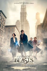 Fantastic Beasts and Where To Find Them Fantastic Beasts and Where To Find Them