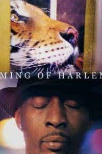Ming of Harlem: Twenty One Storeys in the Air Ming of Harlem: Twenty One Storeys in the Air