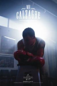 Mr Calzaghe Mr Calzaghe