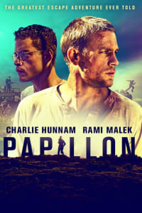 Papillon Papillon