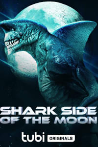Shark Side of the Moon Shark Side of the Moon