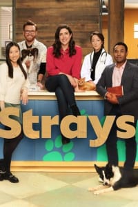 Strays - Season 1 Strays - Season 1