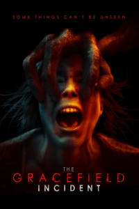 The Gracefield Incident The Gracefield Incident