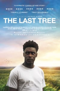 The Last Tree The Last Tree