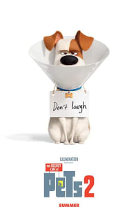 The Secret Life of Pets 2 The Secret Life of Pets 2